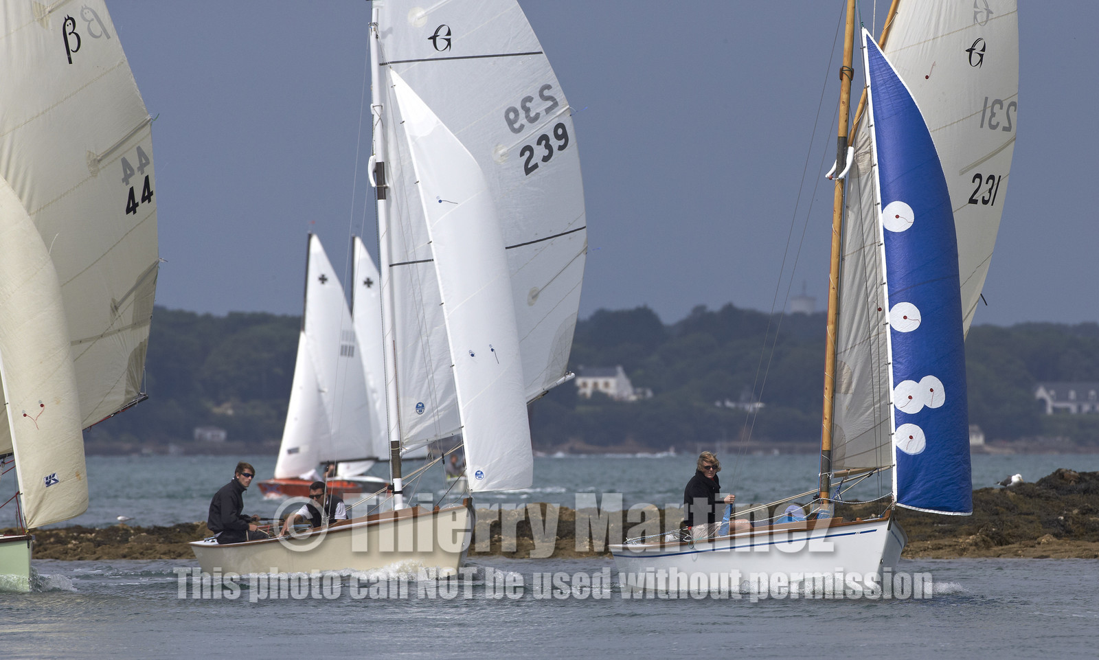 FESTIVAL DE LA VOILE 2014 -Ile aux Moines (Golfe du Morbihan)