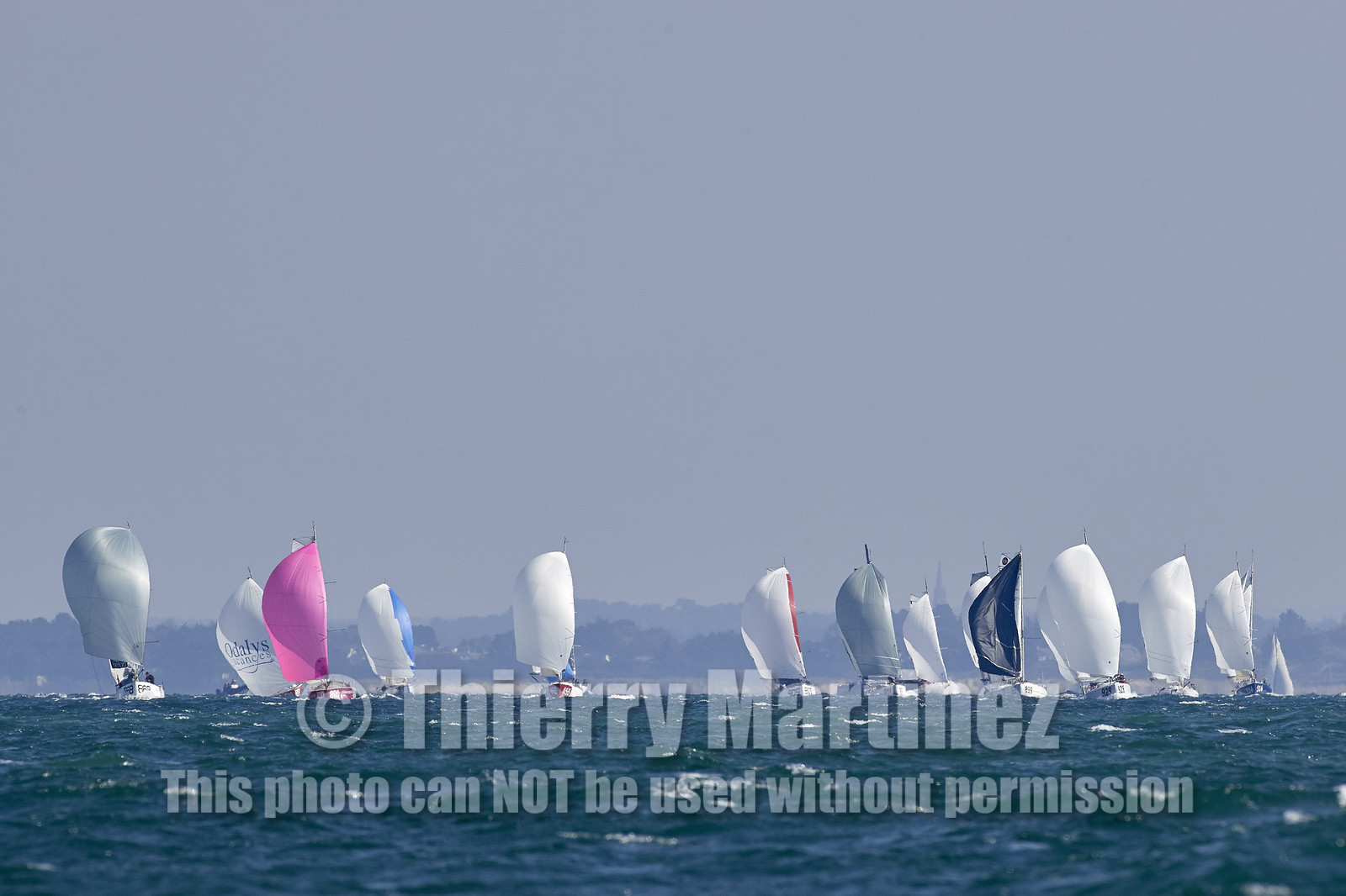 THM-17_010060-MINIenMai