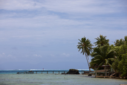 15_023342  ©ThMartinez Sea&Co.  HUAHINE - ILES SOUS LE VENT. POLYNESIE FRANCAISE . 31 January 2015. .