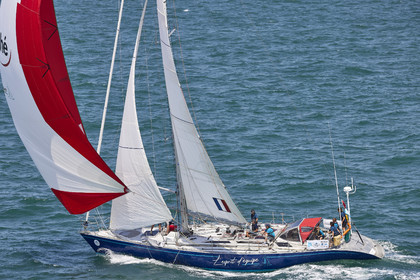 22_26287_DRHEAM CUP