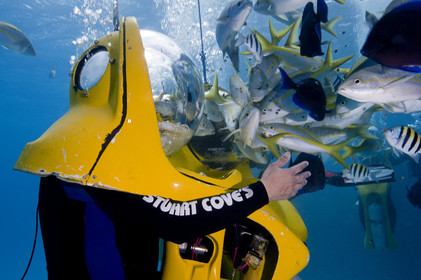 DIVING IN BAHAMAS- JAN 2007