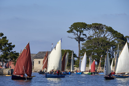 THM-17_011868-Semaine du Golfe