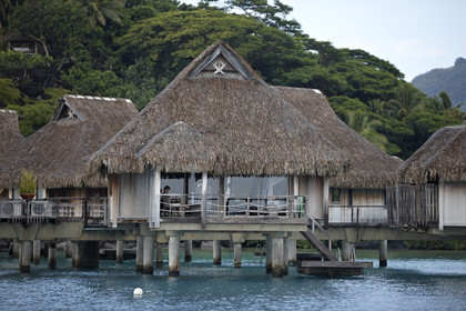 15_026014  ©ThMartinez Sea&Co.  BORA BORA - ILES SOUS LE VENT. POLYNESIE FRANCAISE .  6 Février 2015. ...