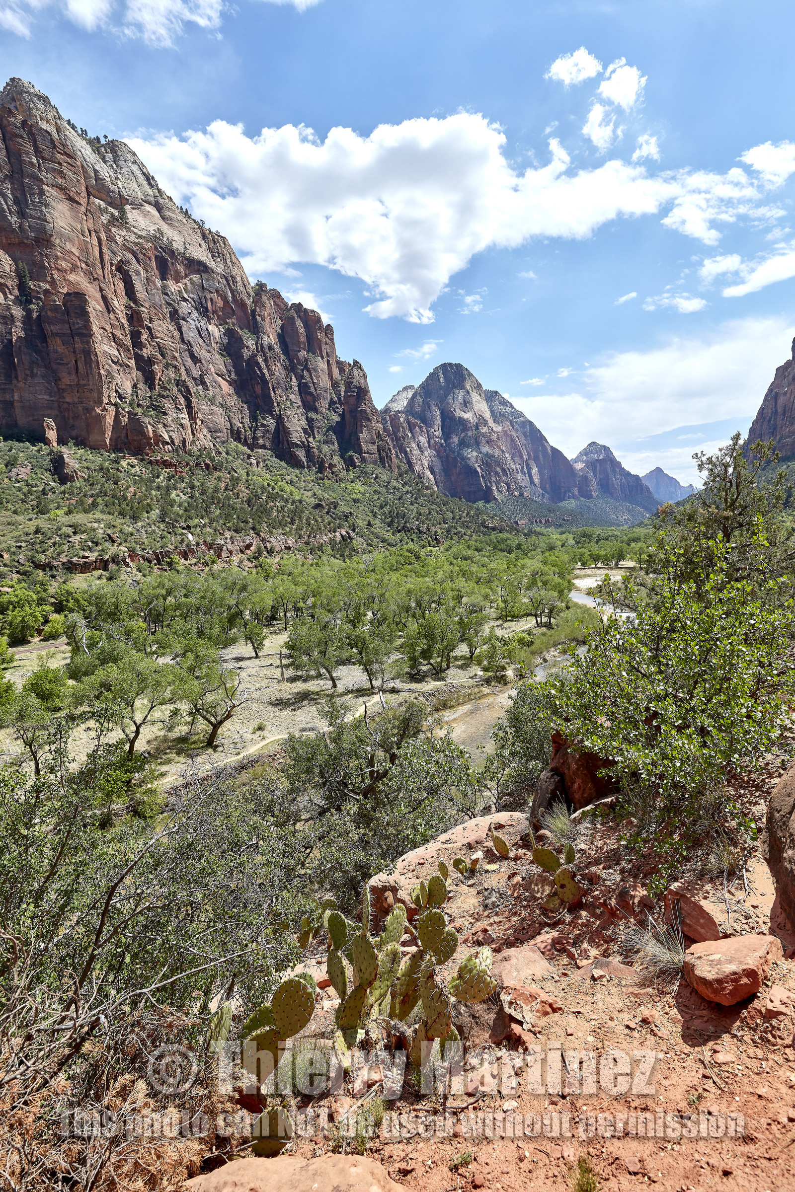 THM-18_052664-ZION Canyon