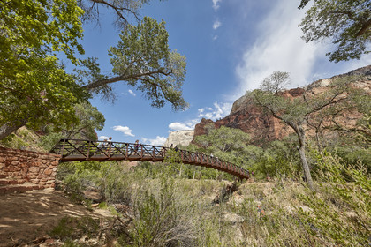 THM-18_052820-ZION Canyon