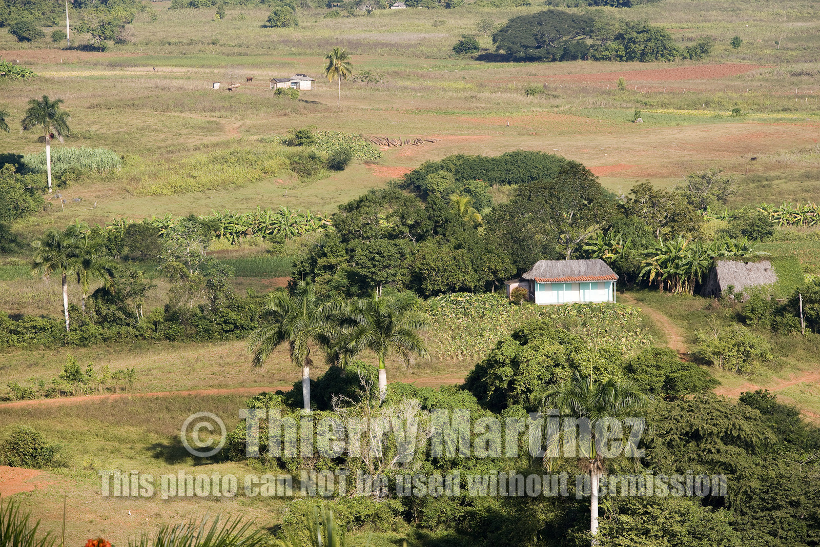 Cuba - Dec 2007.