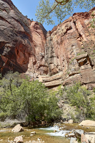 THM-18_052279-ZION Canyon