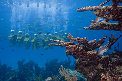 DIVING IN BAHAMAS- JAN 2007