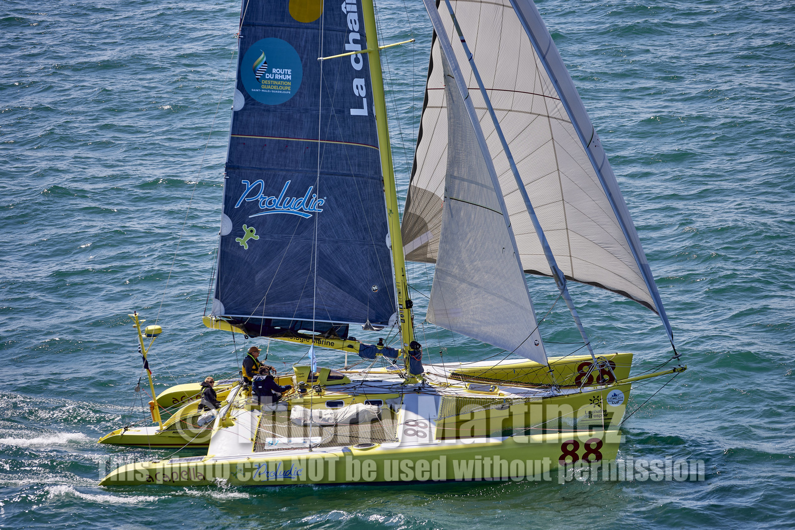 22_24321_DRHEAM CUP