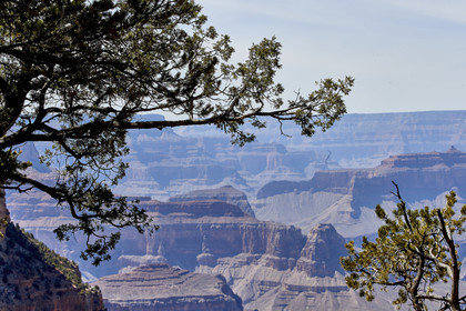 THM-18_057256-GRAND CANYON
