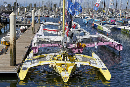 THM-20_08661_DRHEAM CUP