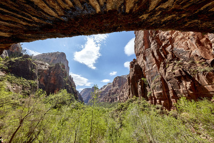 THM-18_052502-ZION Canyon