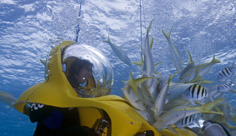 DIVING IN BAHAMAS- JAN 2007