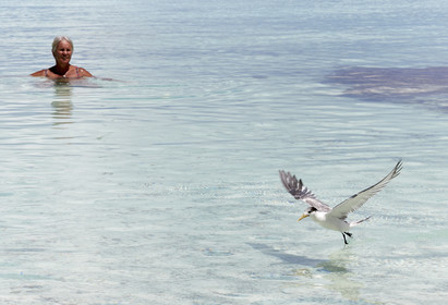 THM-18_041073_FAKARAVA