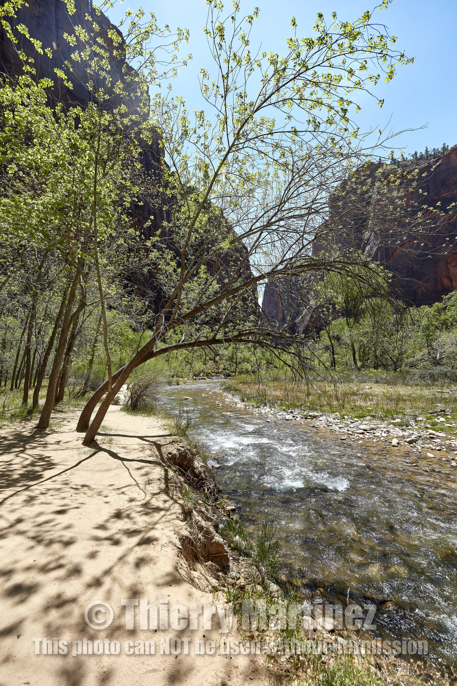 THM-18_052465-ZION Canyon