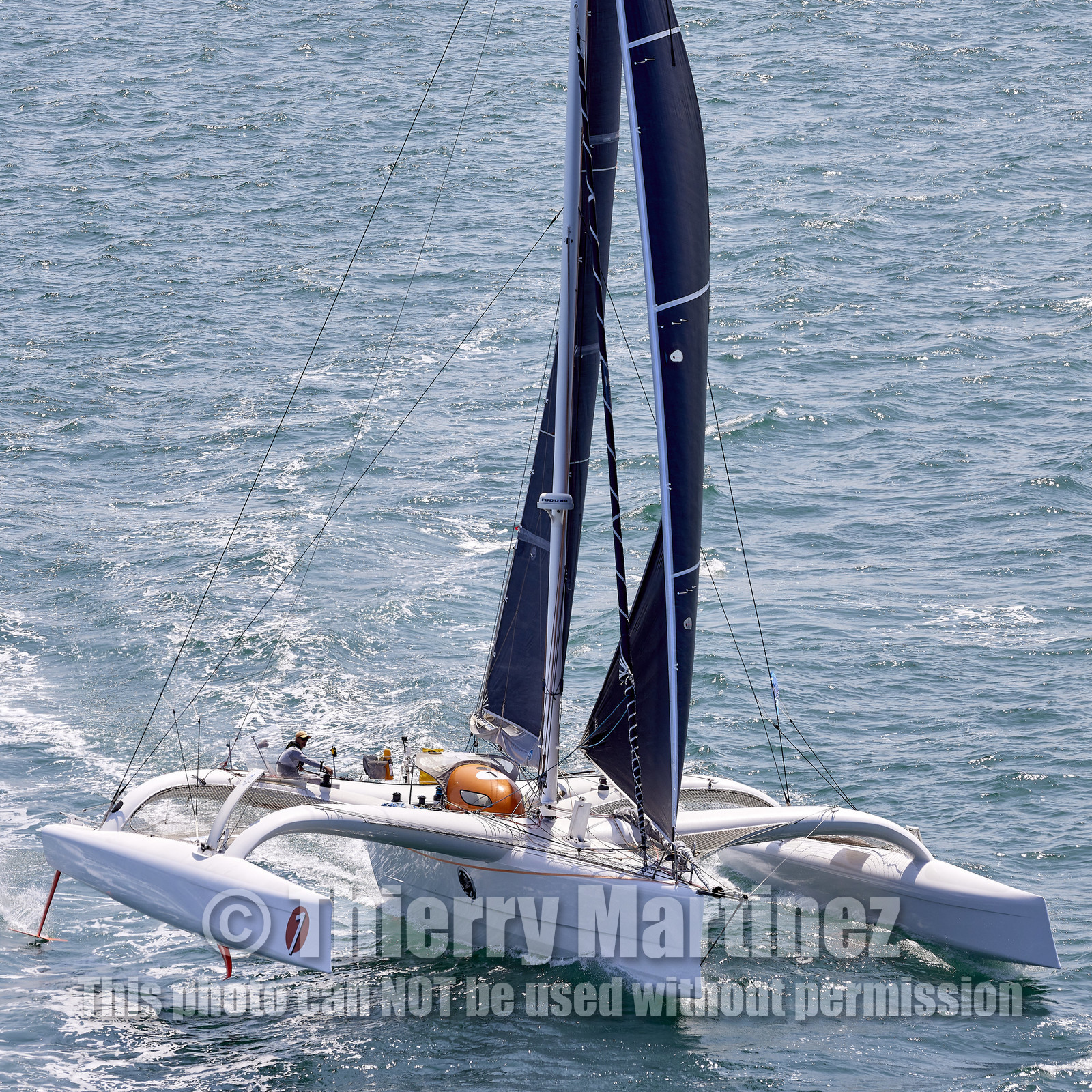 22_26408_DRHEAM CUP