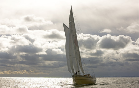 LA LOUISE new schooner  of Thierry Dubois (FRA) Sailing in Golfe du Morbihan (FRA)