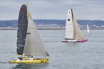 THM-20_09260_DRHEAM CUP