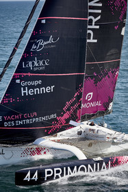 22_26717_DRHEAM CUP