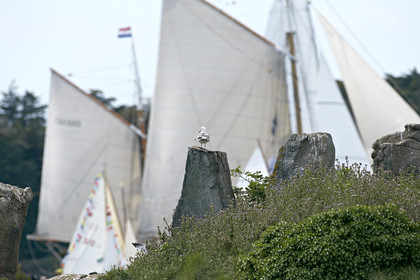THM-15_48039-SEMAINE du Golfe