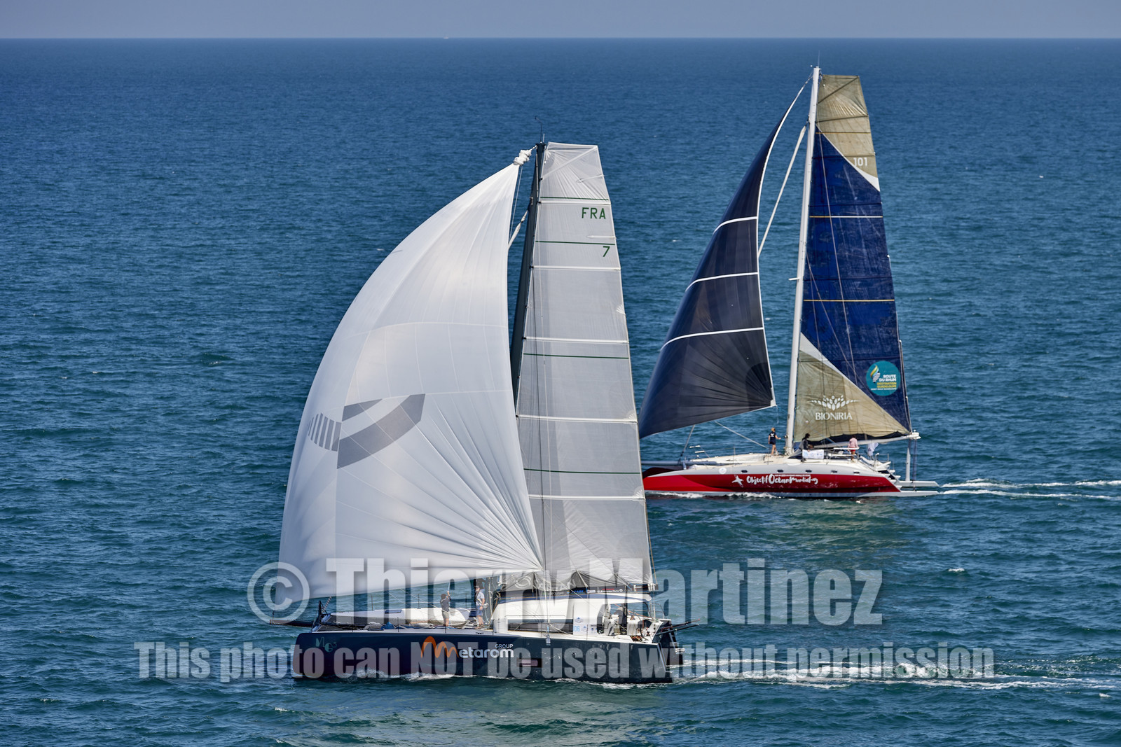 22_24363_DRHEAM CUP