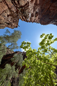 THM-18_052441-ZION Canyon