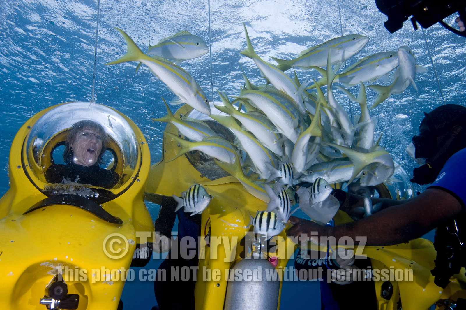 DIVING IN BAHAMAS- JAN 2007