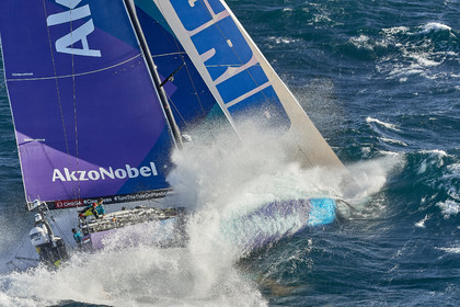 team AkzoNobel  in Volvo Ocean Race 2017-18.