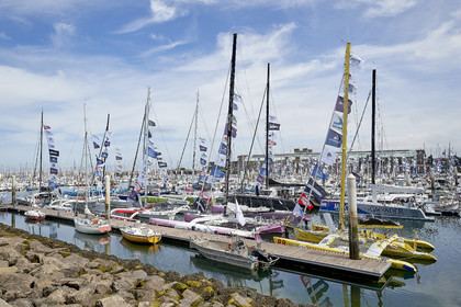THM-20_08510_DRHEAM CUP