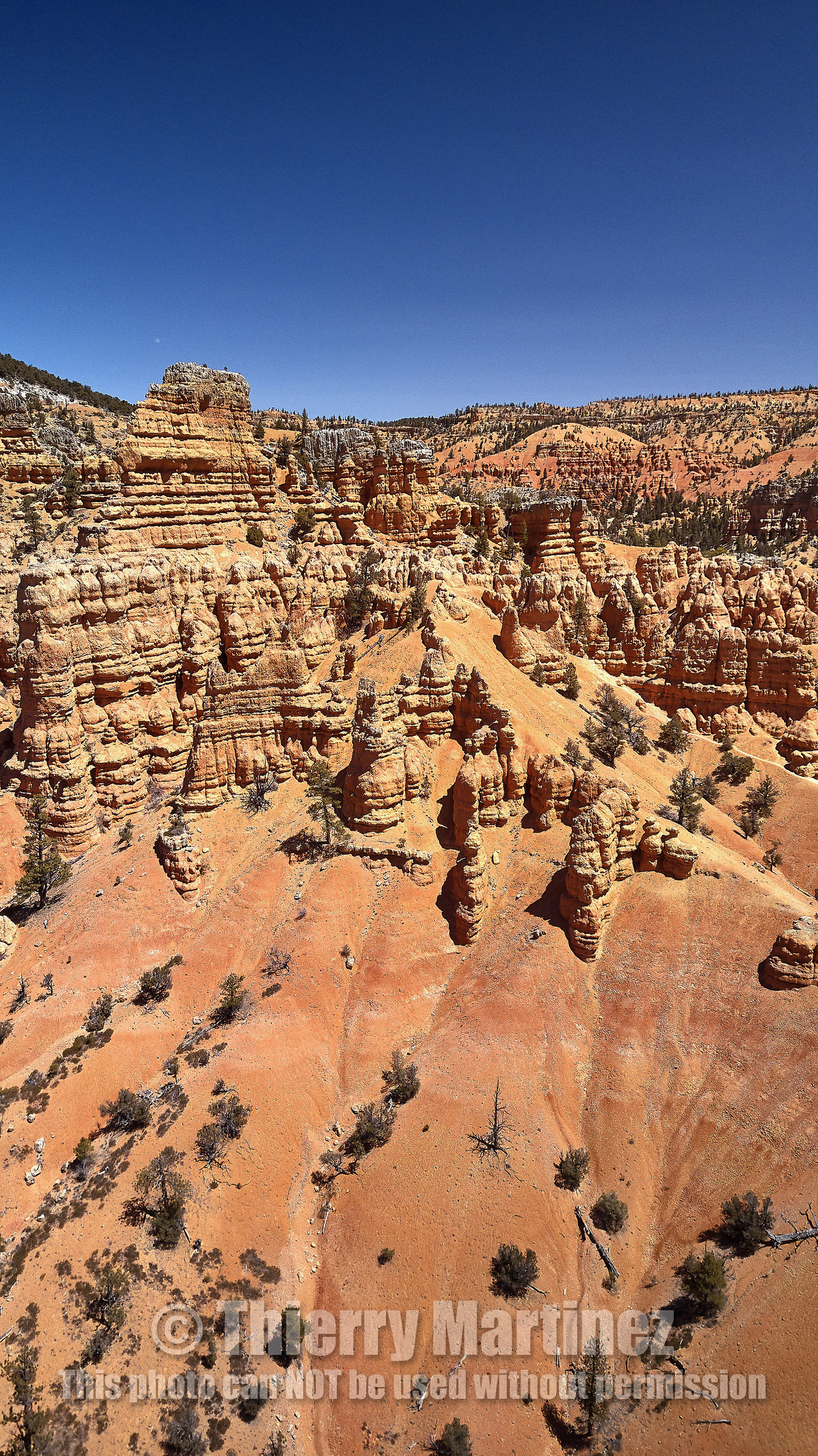 THM-18_054023-ZION CANYON