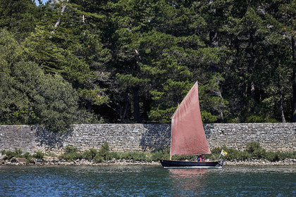THM-17_011776-Semaine du Golfe