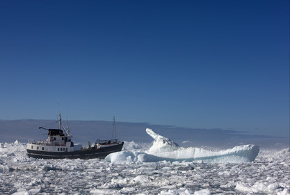 Schooner LA LOUISE sailing on west coast of Greenland.