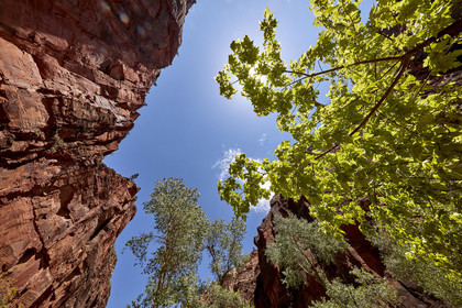 THM-18_052446-ZION Canyon