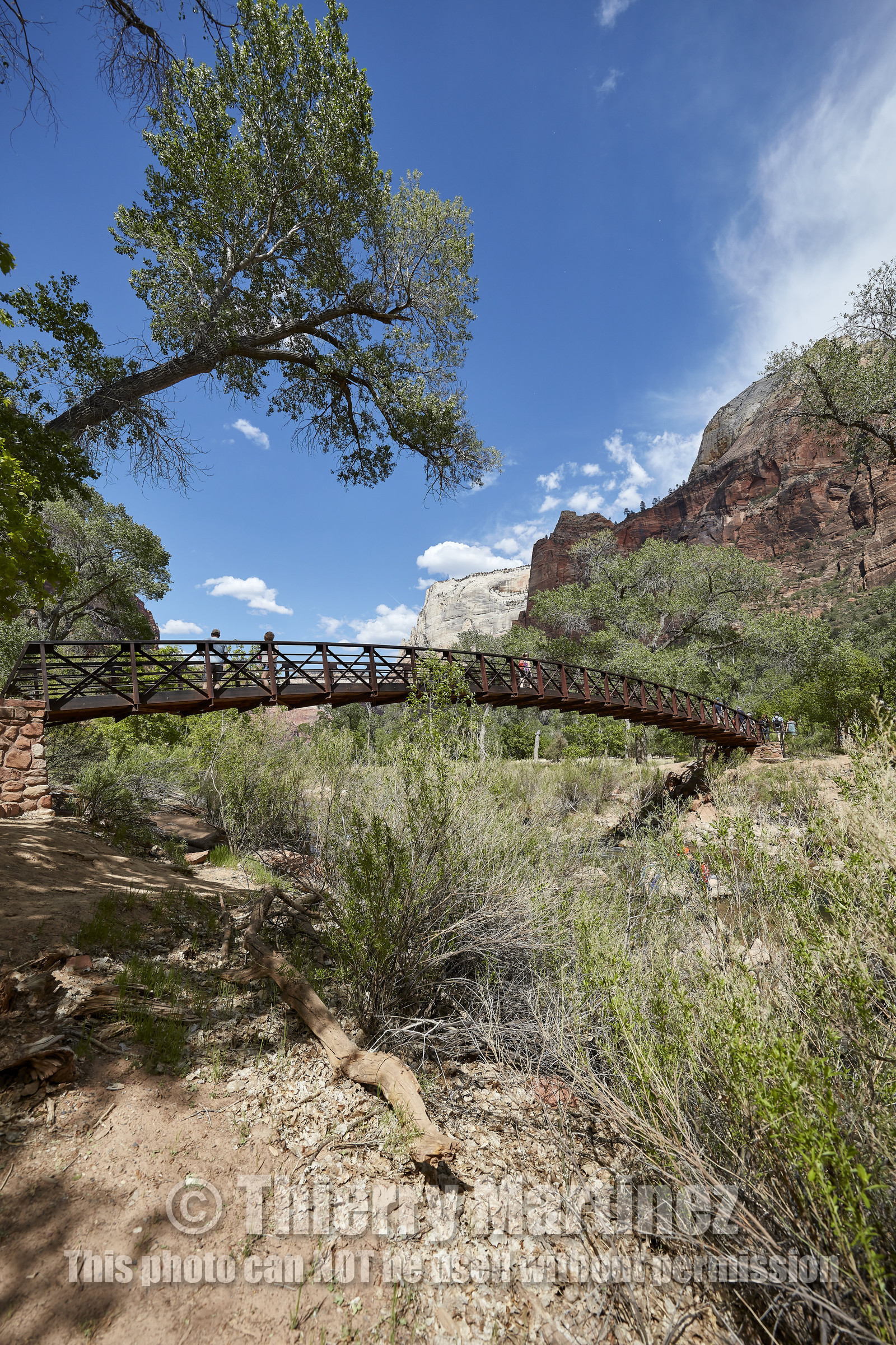 THM-18_052828-ZION Canyon