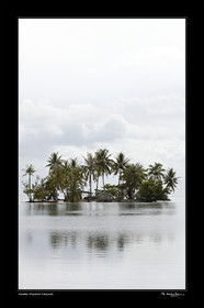 Photo disponible en tirage photo Fine Art,tirage original limités à 30 exemplaires.Chaque tirage est numéroté avec certificat d’authenticité signé.Pour choisir le format et support merci d'utiliser le caddie à coté de la photo.Formats disponibles : Tirage sur papier ( tirage seul) :  30x45 cm   40x60 cm  60x90 cm. Vous pouvez choisir le tirage avec un fond blanc ou noir , à votre convenance. Tirage sur papier contrecollé sur Dibond ( pas de bord blanc ou noir autour de l'image), avec système d'attache au dos:  30x45 cm   40x60 cm  50x75 cm  80x120cm.Tirage sur toile ( Canvas) monté sur chassis bois (pas de bord blanc ou noir autour de l'image), avec système d'attache au dos :  50x75 cm  80x120cm.Expédition ( Dans le monde entier): Colissimo (assurance) avec signature à réception. 48h pour la France métropolitaine.Il est possible de récupérer les tirages à La Galerie du Golfe (sans frais d'expèdition).Conditionnement tirages seuls: tube cylindrique renforcé + boite.