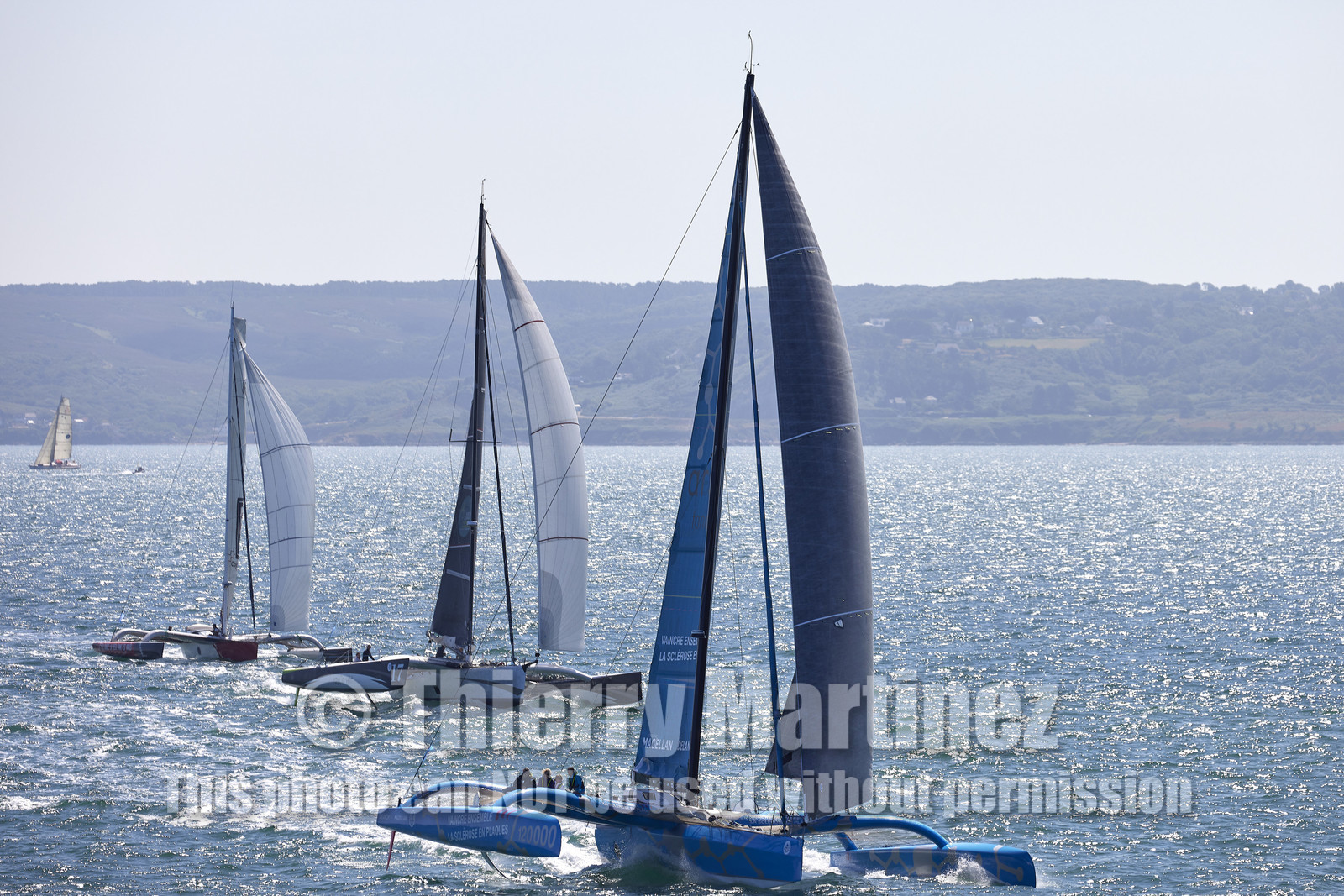 22_23895_DRHEAM CUP