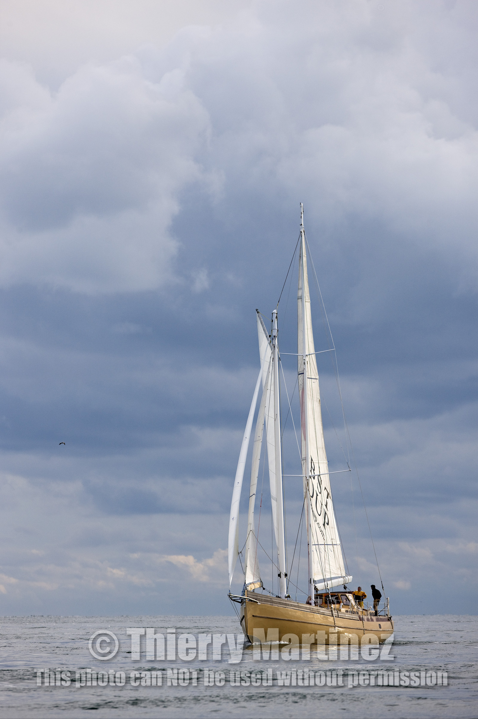 LA LOUISE new schooner  of Thierry Dubois (FRA) Sailing in Golfe du Morbihan (FRA)