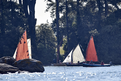THM-17_011699-Semaine du Golfe